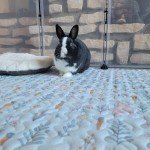 Célia's rabbit enjoying the Bunny Mat