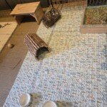 Mylene's Bunny Banana mat setup