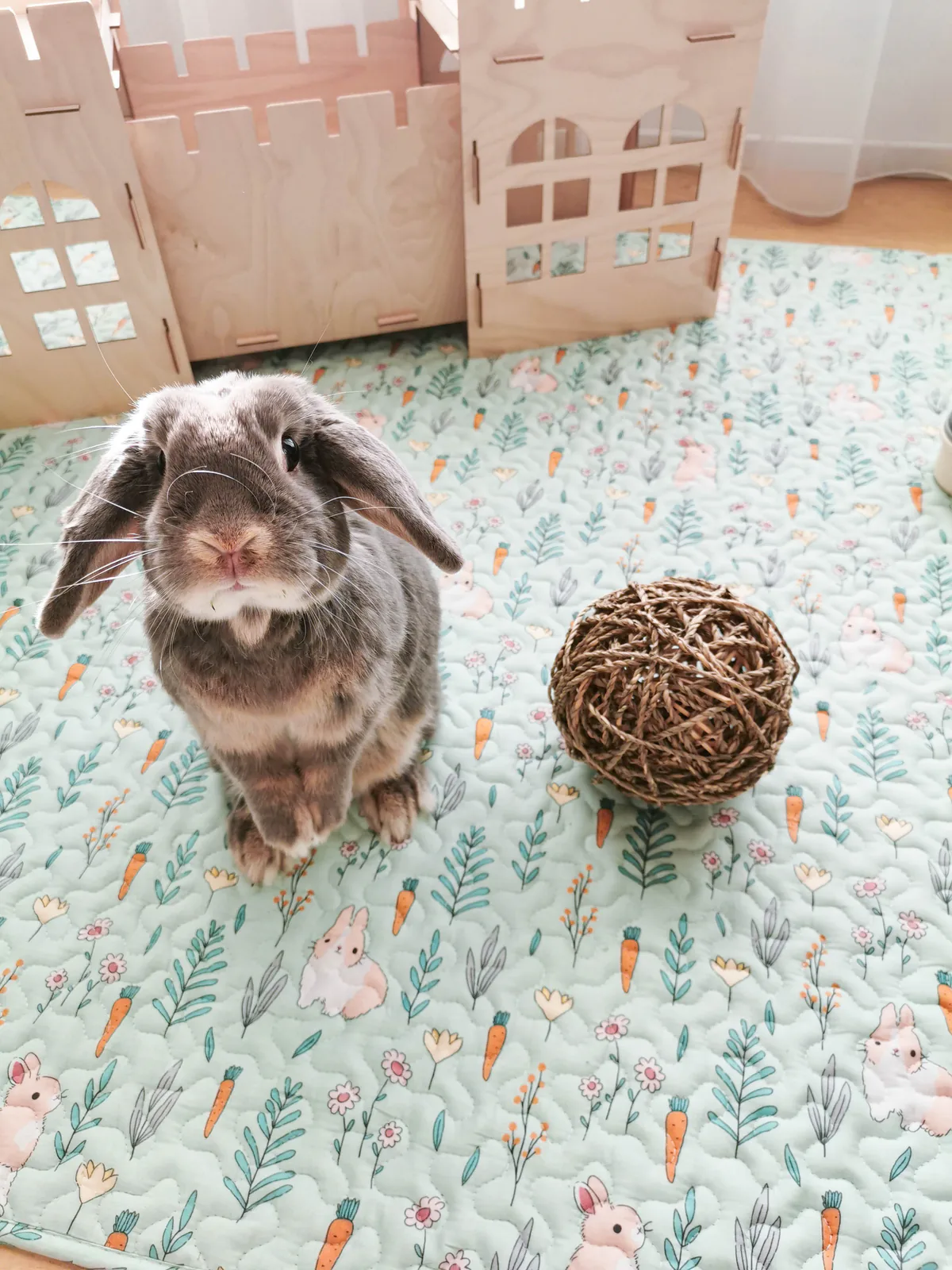 Faé, the rabbit who inspired Bunny Banana, on the Original Bunny Mat